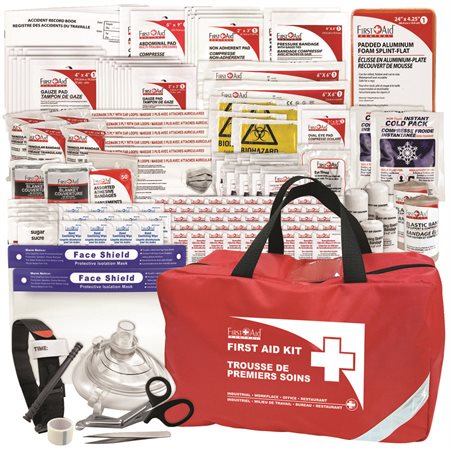 Basic First Aid Kit Nylon