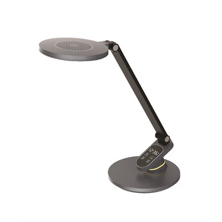 Tandy Desk Lamp