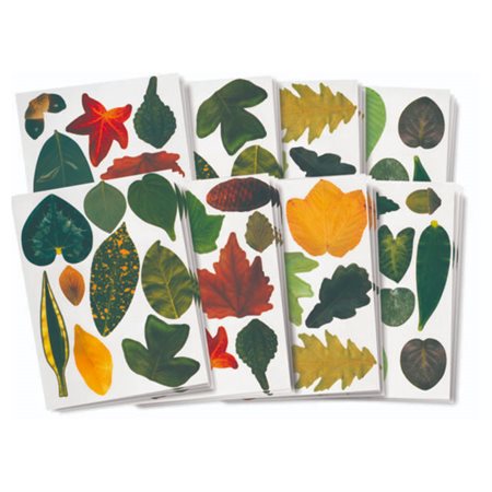 Papier imprimé - Feuilles fantaisie