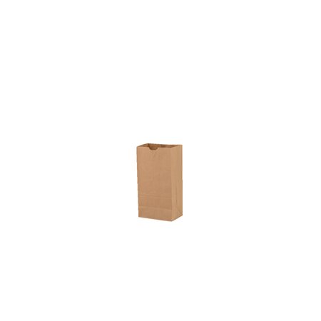 Sac en papier kraft - 4,75 x 2,93 x 8,56 po.
