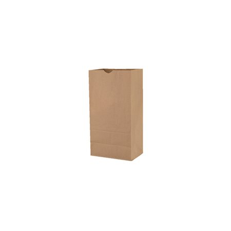 Sac en papier kraft - 8,3 x 5,3 x 16 po.