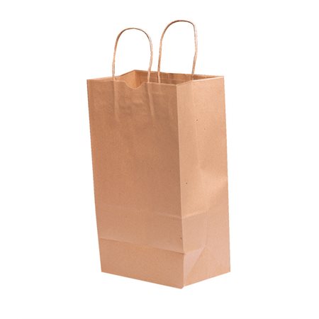 Sacs en papier à poignées torsadées - 9,75 x 5,95 x 16,75 po.
