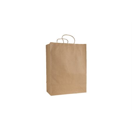 Sacs en papier à poignées torsadées - 13 x 7 x 17 po.