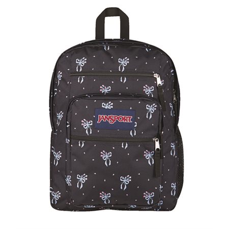 Big Student Backpack