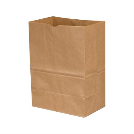 Sacs en papier - 12 L x 7 P x 17 H po.