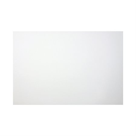 Project Foam Board
