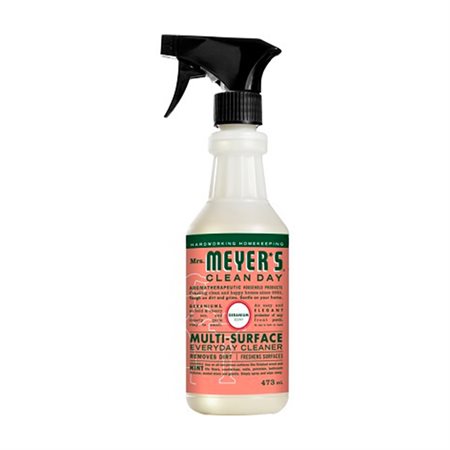 Nettoyant multi-surface quotidien Clean Day