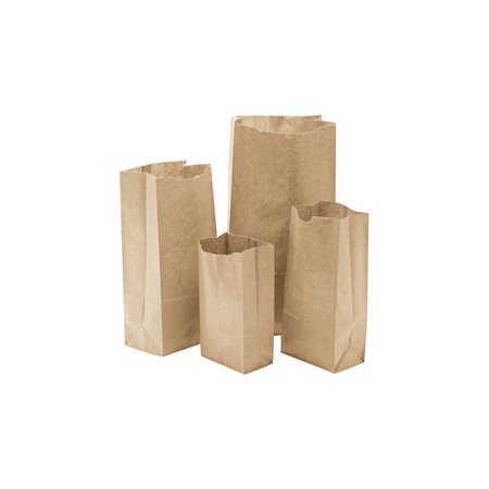 Sacs en papier - 8-1 / 4 x 16 po.