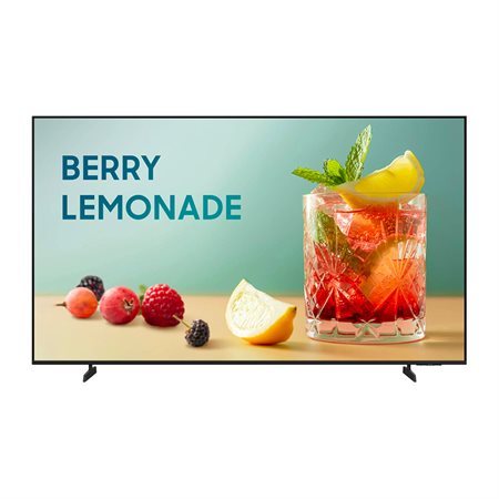 Téléviseur BE55FX-H