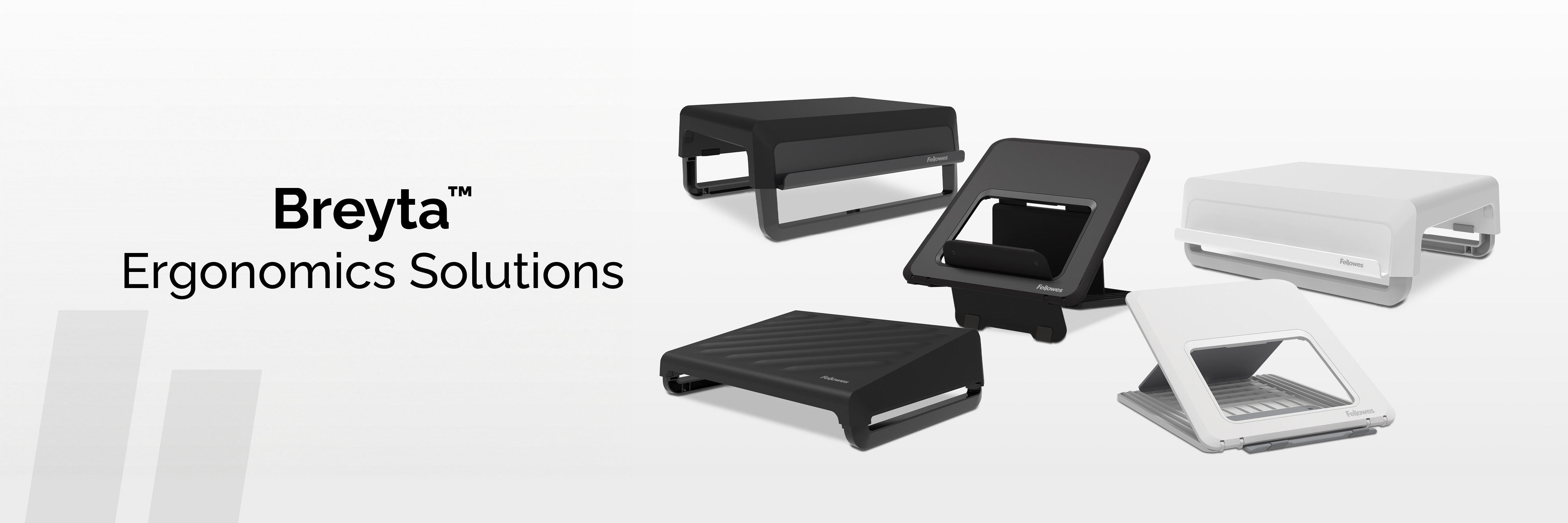 banner_fellowes_breyta_2024_en