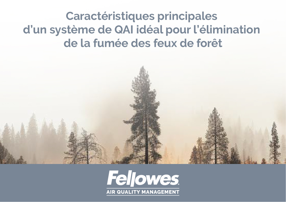 Fellowes